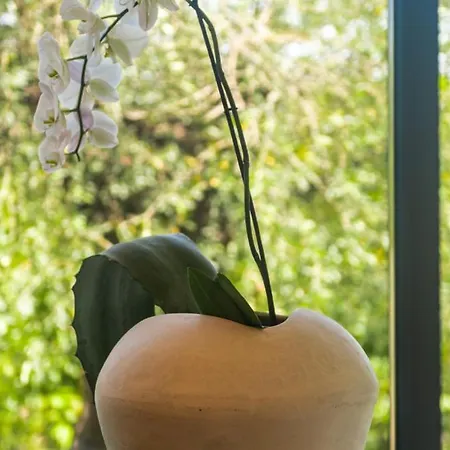 Villa Flores By Guide Frata