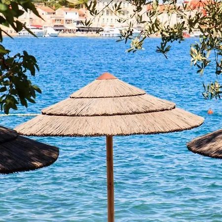 Flores By Guide * Frata