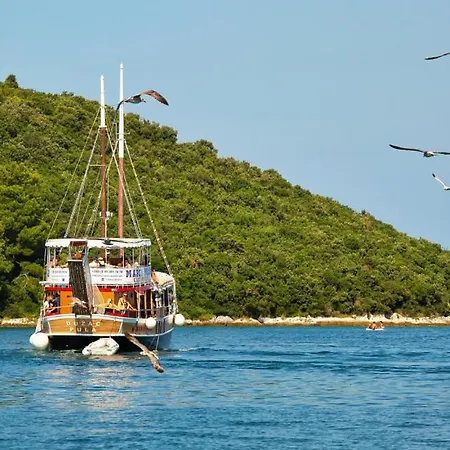 Flores By Guide Frata