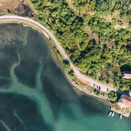 Flores By Guide * Frata